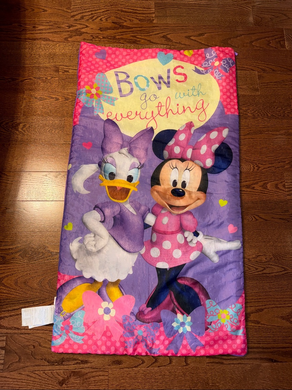 Disney Minnie Mouse and Daisy Duck toddler sleeping bag.